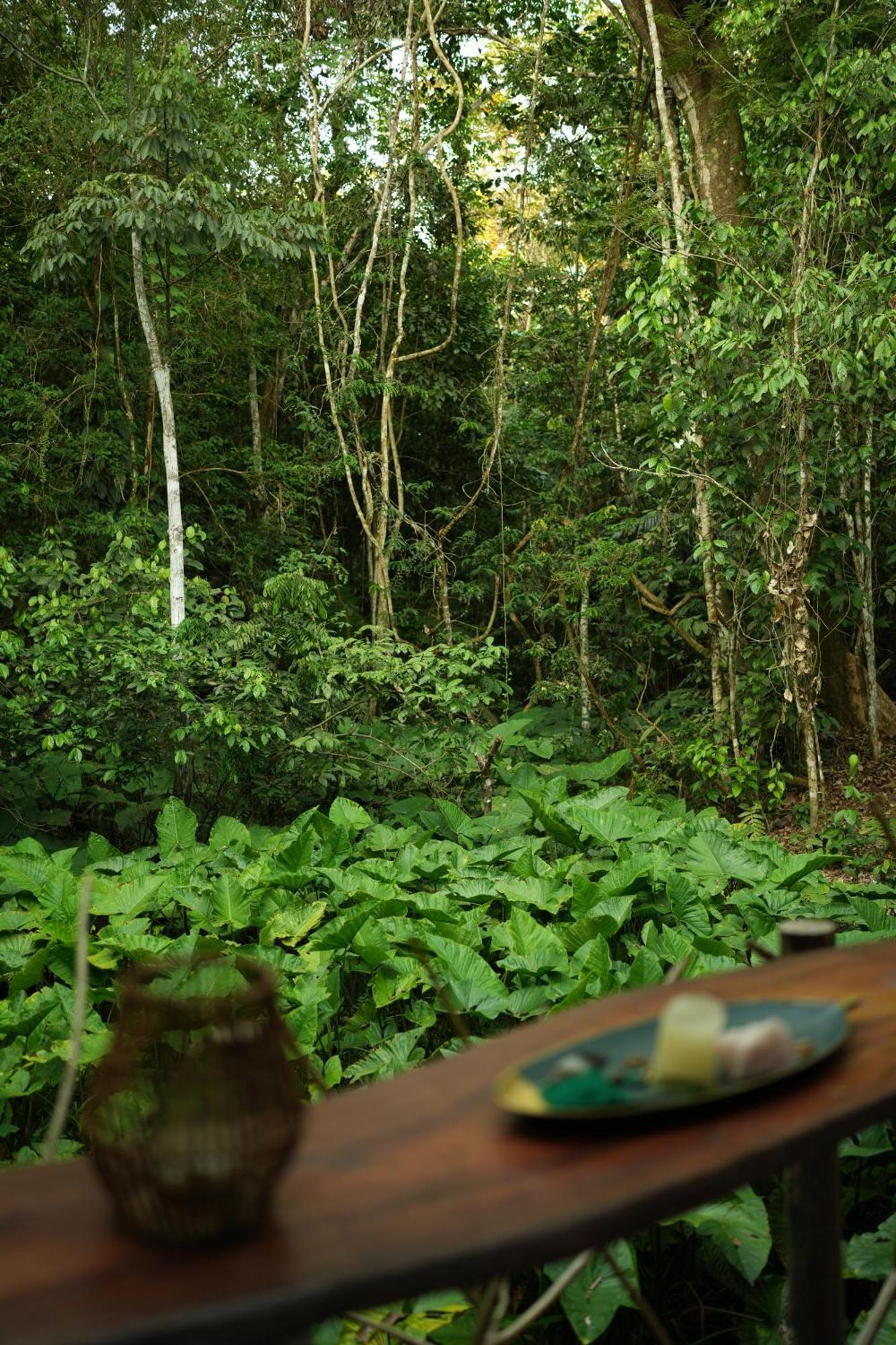 Awaken Amazonian Healing Resort All Inclusive Iquitos Bagian luar foto